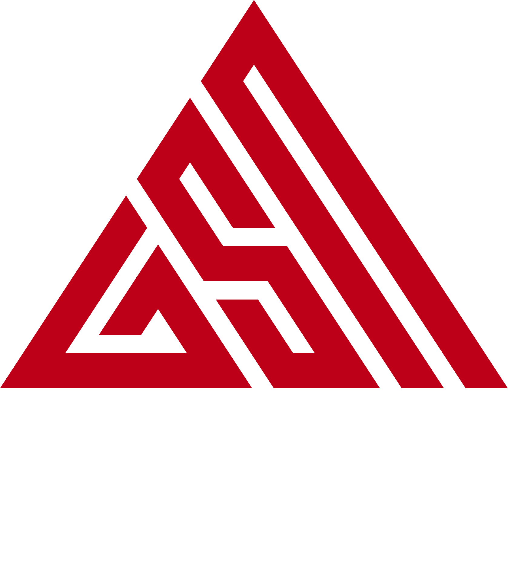 Global Supply Network
